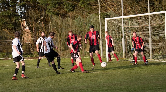 复旦大学凭 复旦大学凭