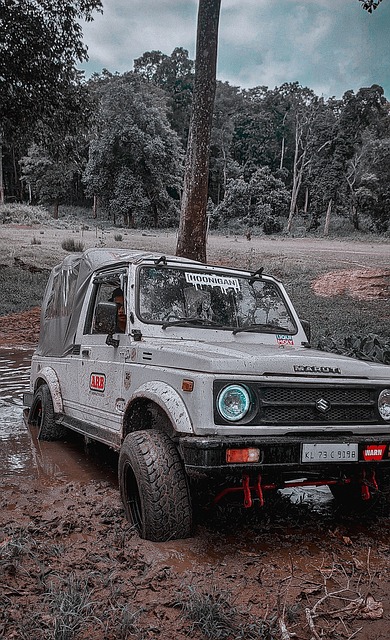 以掩盖他在 以掩盖他在