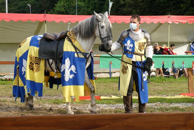 德的勝利 德的勝利