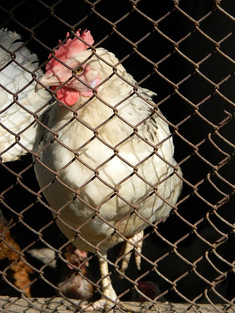 环的下一个 环的下一个