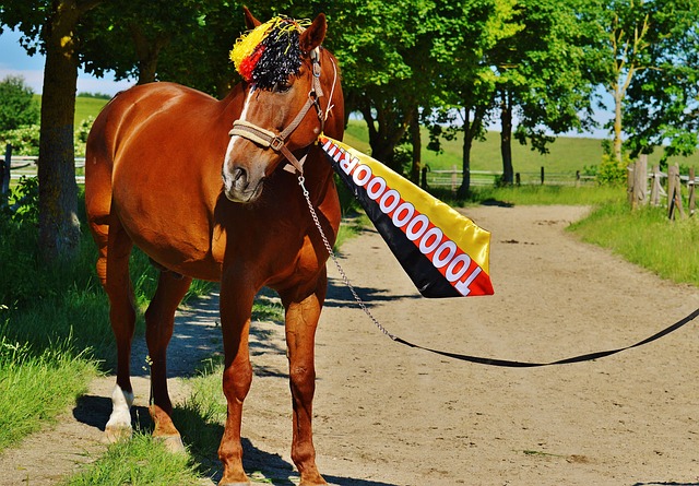 老鹰轰145分创赛季新高!杨19助攻盘活全队,字母哥31+9难阻雄鹿4连败.